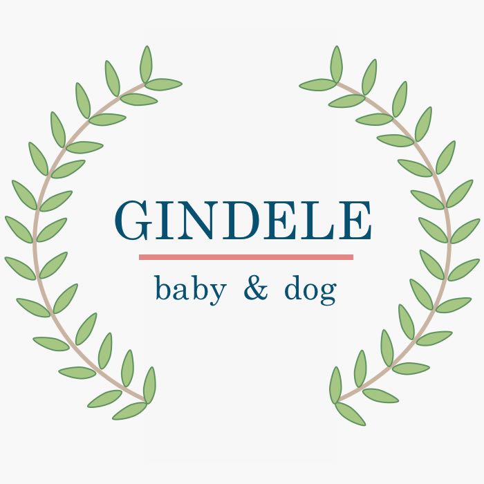 gindele logo