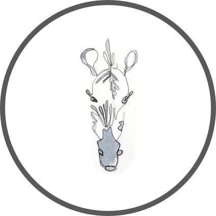 image of zebra art